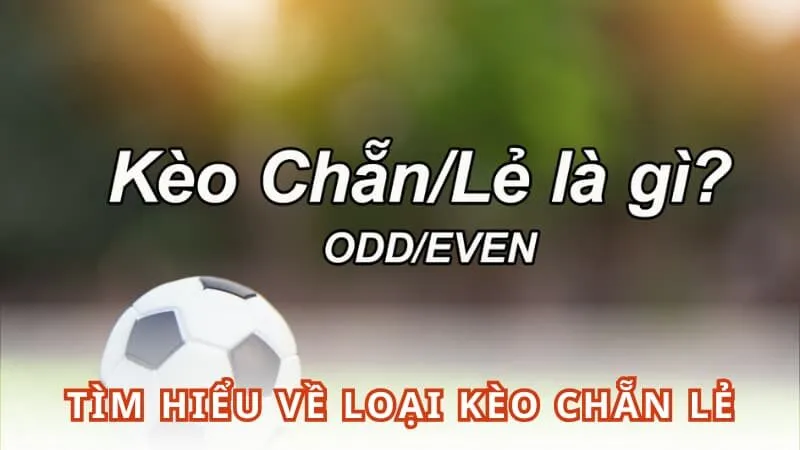 Tìm hiểu về loại kèo chẵn lẻ