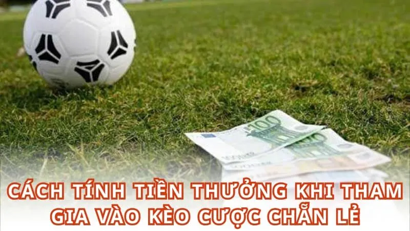 Cách tính tiền thưởng khi tham gia vào kèo cược chẵn lẻ